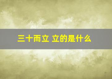 三十而立 立的是什么